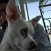 Profile Picture of Scott Trapp (@scott.trapp.5) on Facebook