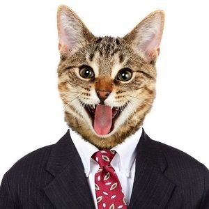 Profile Picture of Michael Ebenroth (@cat_day) on Myspace