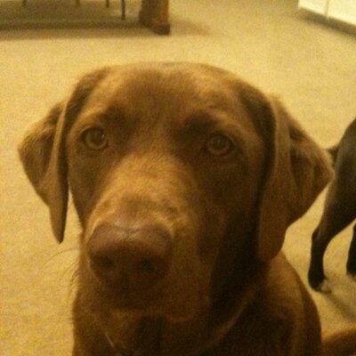 Profile Picture of Gary Blanscet (@txags86) on Twitter