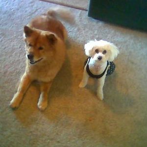 Profile Picture of Nala Hogan (@401123773) on Myspace