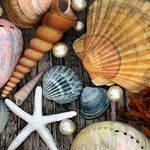 Profile Picture of the mermaid treasure chest (@thesirengrotto) on Instagram