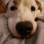 Profile Picture of Nancy Keele (@nlk916) on Instagram