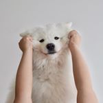 Profile Picture of Yiling Tian (@codenamefluff) on Instagram