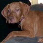 Profile Picture of Sean Redmond (@seanredmond8714) on Youtube