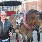 Profile Picture of Jean-emile Aerts (@jeanemileaerts) on Instagram