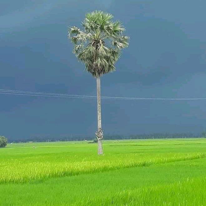 Profile Picture of ShaRif Sk (@sharifsk749) on Tiktok