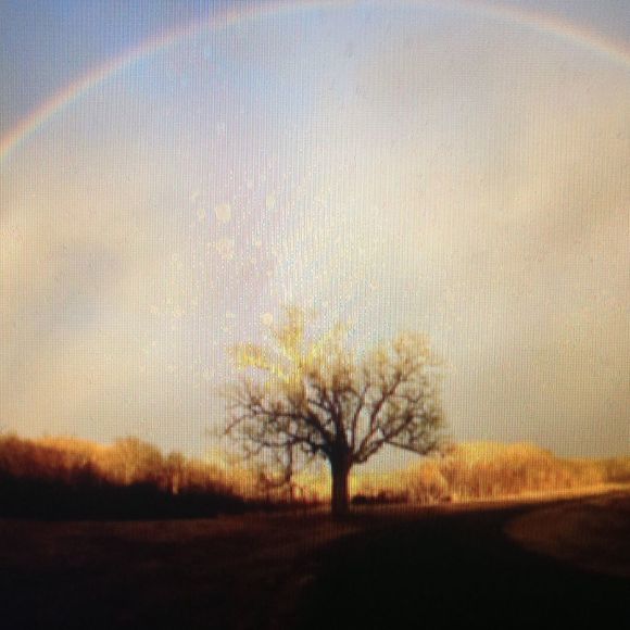 Joanne Alberici - Poshmark Profile Picture of Joanne Alberici (@jofitz420) on Poshmark