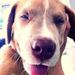 Profile Picture of Allyssa Rose (@vuelma) on Pinterest