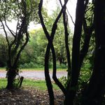 Profile Picture of Zachary O'Connor (@zacksoldinsta) on Instagram