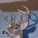 Profile Picture of Joel Bower (@joel.bower.94) on Facebook