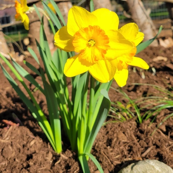 Profile Picture of Claire Chesmer (@claire70) on Poshmark