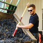 Profile Picture of Matthew Strassel (@mwstrassel) on Instagram