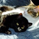 Profile Picture of Kentnor (@kentnorgraff) on Instagram