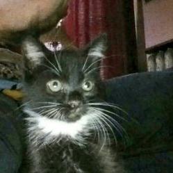 Profile Picture of Jon Neagle (@jonneagle707) on Twitter