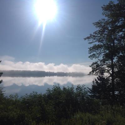 Profile Picture of Gill Perry (@GillPerry1) on Twitter