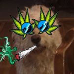 Profile Picture of Toby Owens (@teebonezzz) on Instagram