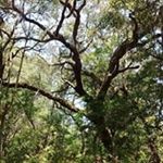 Profile Picture of Clay Wilkinson (@clay_wilkinson) on Instagram