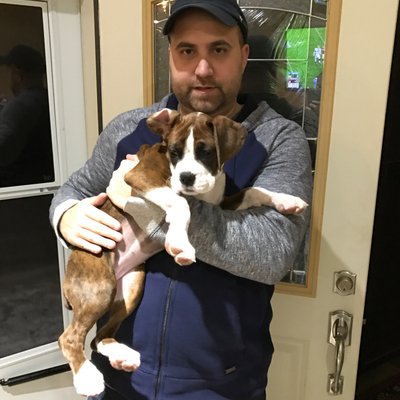 Profile Picture of Jonathan Ciancetta (@JMCiancetta) on Twitter