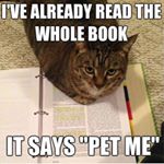 Profile Picture of Andrew Pile (@dalepile28) on Instagram