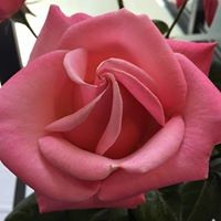 Profile Picture of Karen Adams-griggs (@karen-adams-griggs) on Quora