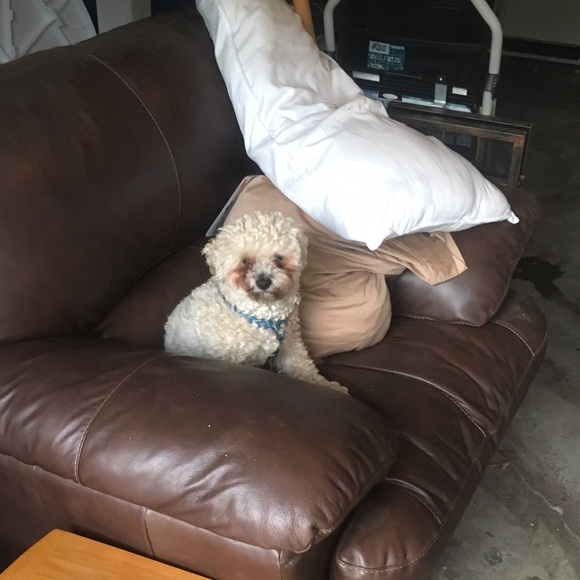 Stephen Vigliotti - Poshmark Profile Picture of Stephen Vigliotti (@dantevigz) on Poshmark