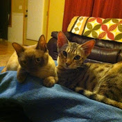 Profile Picture of Tyler Triplett (@tylertriplett1456) on Youtube