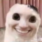 Profile Picture of Dixie Statzer (@Dixie-Statzer) on Facebook