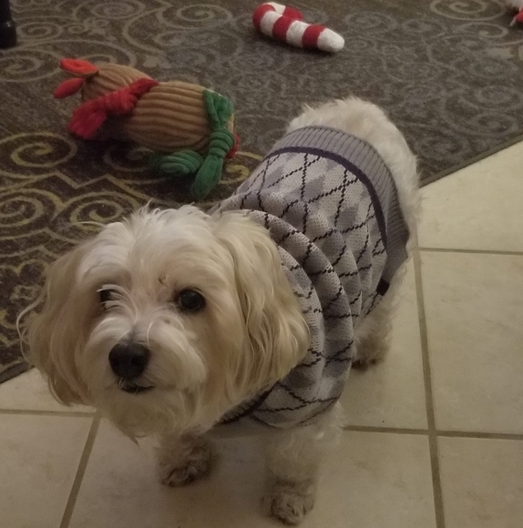 Profile Picture of Dee Capuana (@153deedee) on Poshmark