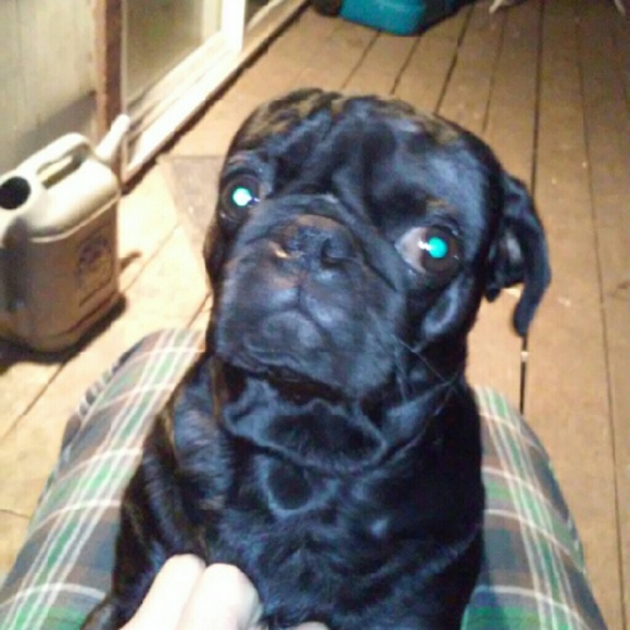 Profile Picture of Kim Judd (@stargazerlily5) on Poshmark