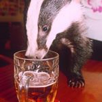 Profile Picture of Darren  (SKOVY) (@powderbadger) on Instagram