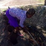 Doris Alice - Instagram Profile Picture of Doris Alice (@dorisaliceasimon) on Instagram