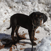 Profile Picture of Hazel Parker (@hazelparker2222) on Youtube