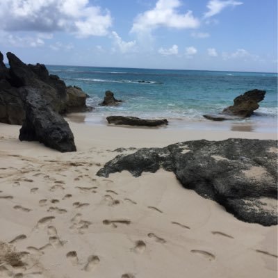Profile Picture of Chris Matlack (@matlackjohnc) on Twitter