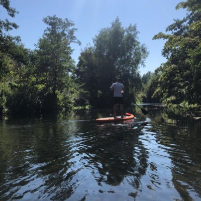 Profile Picture of Matt Nichols (@Matty_Nichols) on Twitter