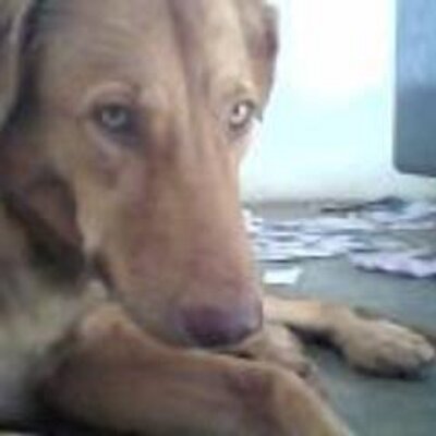 Profile Picture of Adrian Echeverria N. (@AdrianEchever10) on Twitter