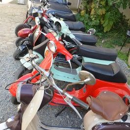 Profile Picture of Oeil De Lio (@MigaultL) on Twitter