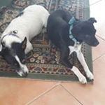 Profile Picture of Jo-anne McPherson (@joanne.mcpherson.79) on Instagram