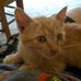 Profile Picture of Alberta Bertogli (@alberta.bertogli.5) on Facebook