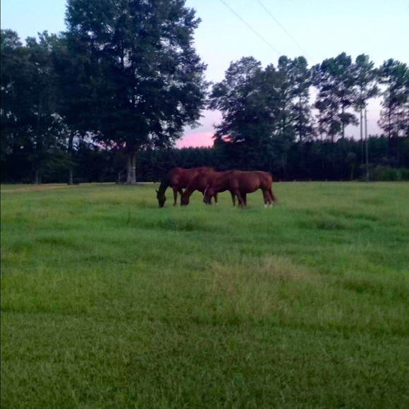 Profile Picture of Brittne Poche (@brittnepoche) on Poshmark