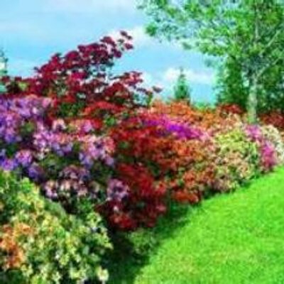 Profile Picture of Maintenance Cornwall (@Matthew13716453) on Twitter