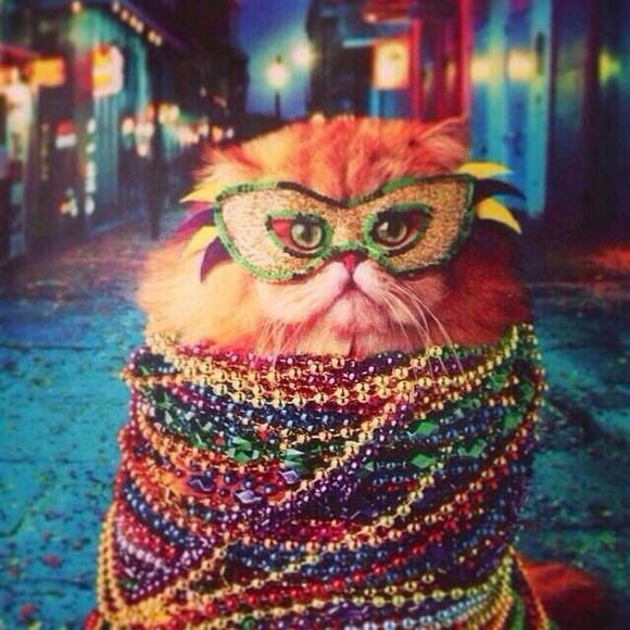 Profile Picture of Ivy Madison (@imadison) on Poshmark