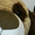 Profile Picture of benjamin francisco ruggeri (@benjaminfrancisco3) on Instagram