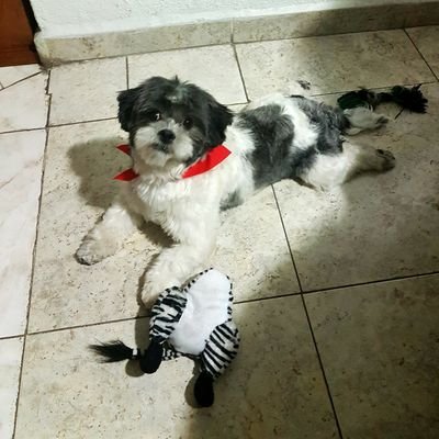 Profile Picture of Jacqueline Mier (@Jackie_MB) on Twitter