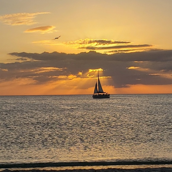 Profile Picture of Heather Solomon (@hobsolo) on Poshmark