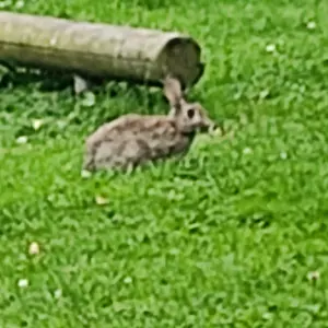 Profile Picture of Julian Brockmann (@julianbrockmann3) on Tiktok