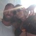 Profile Picture of Claudio Giacalone (@claudio.giacalone.35) on Facebook