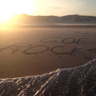 Profile Picture of Tracy Fiedler (@tracyfiedler) on Twitter