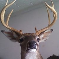 Profile Picture of Kenneth Watkins (@kenneth-watkins-14) on Quora