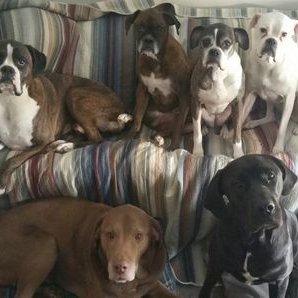 Profile Picture of Chris Rudder (@Joker7037) on Twitter