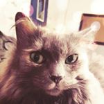 Profile Picture of Savannah Lauren Speer (@speersavannah) on Instagram